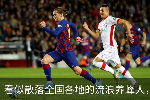 看似散落全国各地的流浪养蜂人，五千人都来自同个浙江小县城