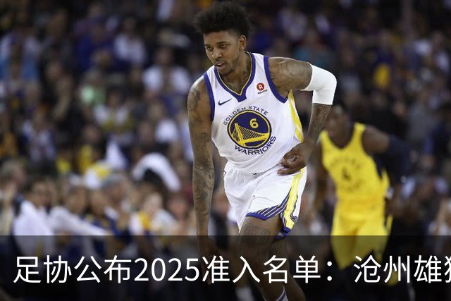 足协公布2025准入名单：沧州雄狮、广州队无缘